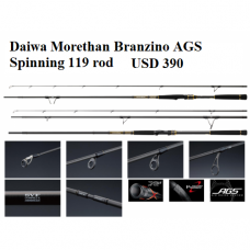 Daiwa Morethan Branzino AGS Spinning 119 rod Japan